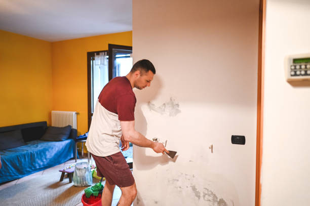 Best Crawl Space Mold Remediation in Pelican Bay, TX