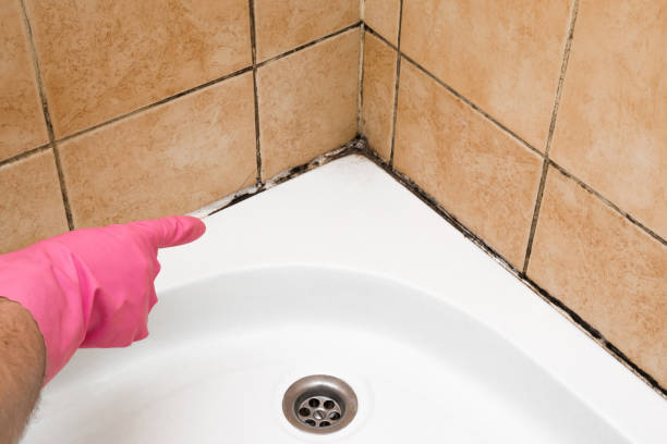 Best Residential Mold Remediation in Pelican Bay, TX